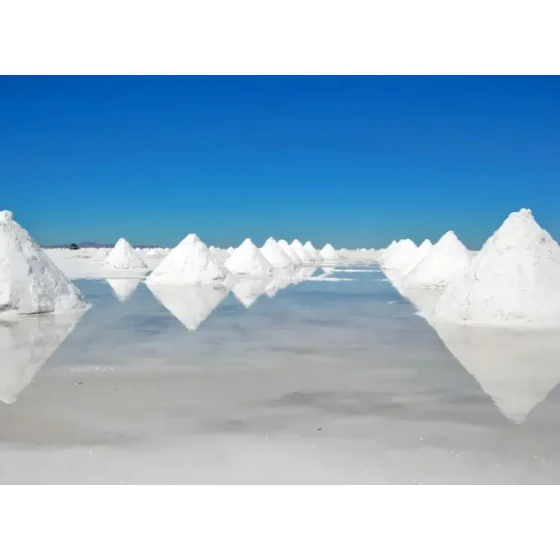 염호 염수 자원에서 부양에 의한 리튬 추출