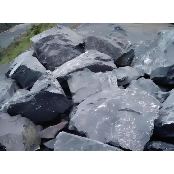 탄화 금 광미로부터의 회수 테스트