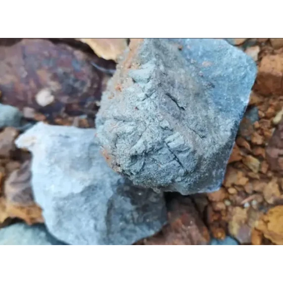 고황황 금 광미에서 회수 테스트