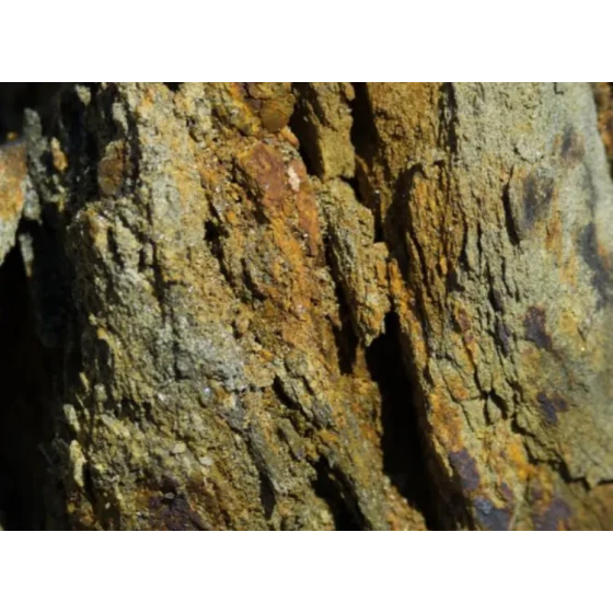 시안화물 침출을 통한 금 추출 테스트