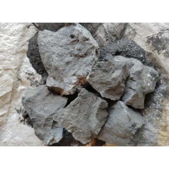 고황 금광석의 광물 처리 테스트