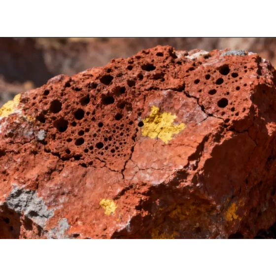 라테라이트 니켈 광석의 통합 광물 처리-야금 테스트