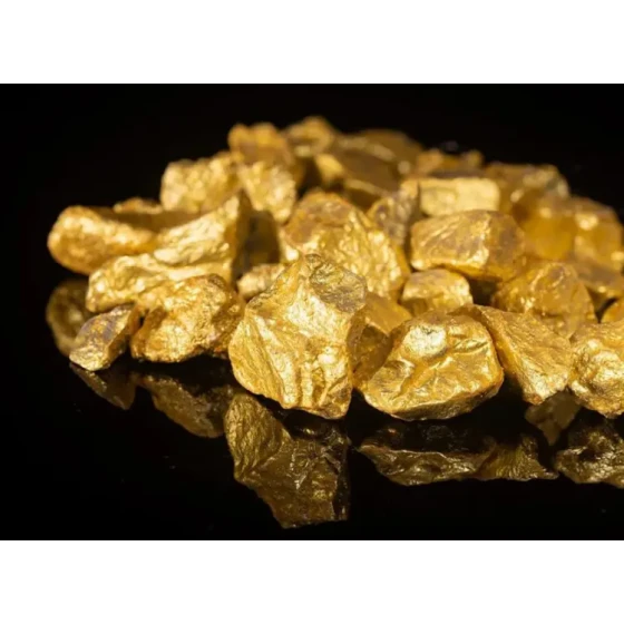 금광석의 부양 테스트