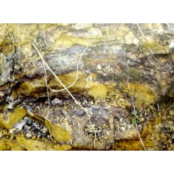 내화성 관련 광석에 대한 침출 공정 테스트