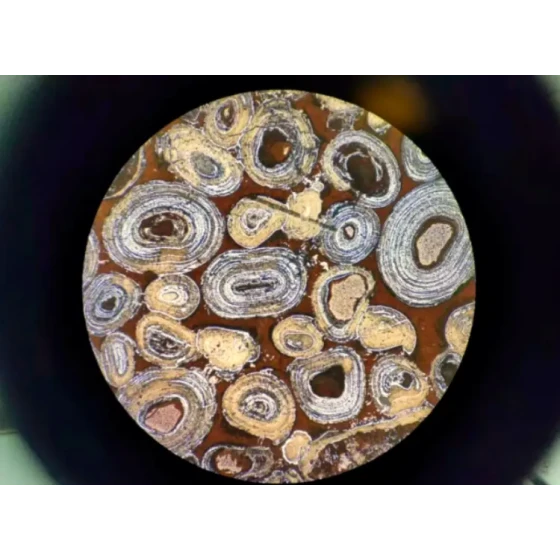 황철광의 탈인산화 및 탈실화 테스트