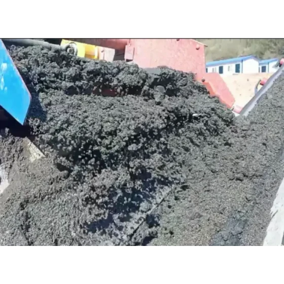 오래된 광미 연못의 미세 광미 재회수 테스트