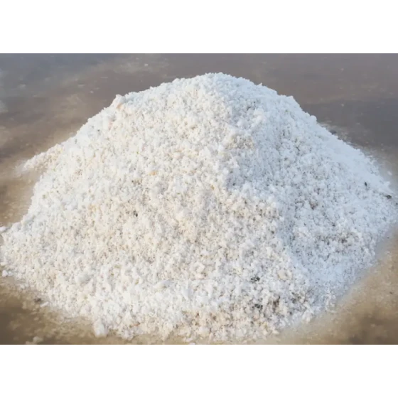 실리카 모래 정화 테스트