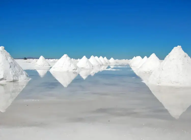 염호 염수 자원에서 부양에 의한 리튬 추출