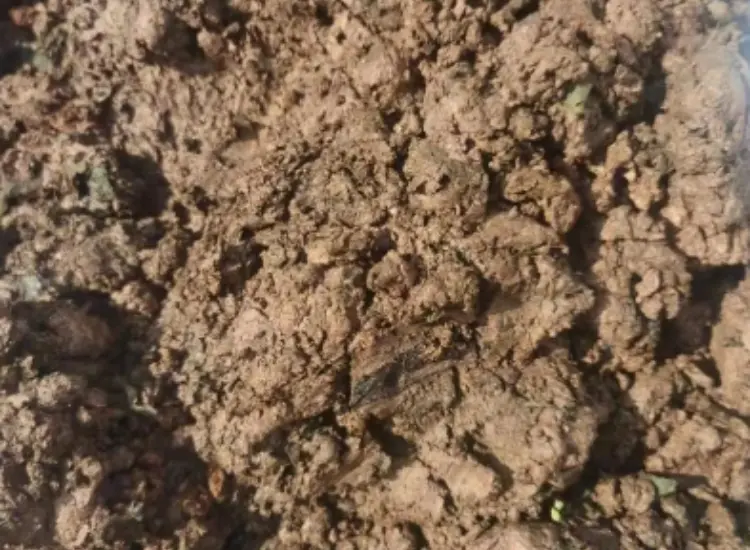 금속 산화물 광석 슬라임의 선광 테스트