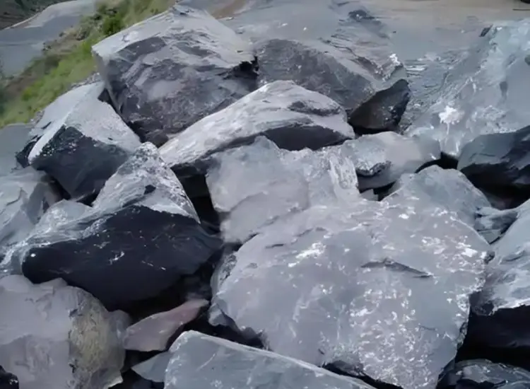 탄화 금 광미로부터의 회수 테스트