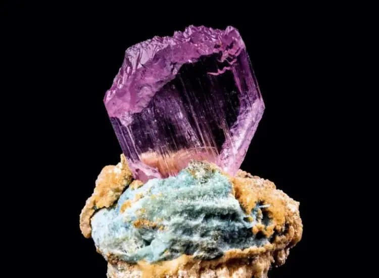 스포두멘의 부양 테스트