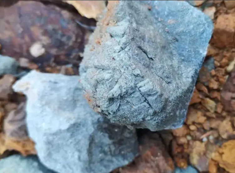 고황황 금 광미에서 회수 테스트