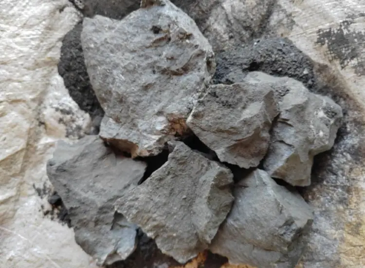 고황 금광석의 광물 처리 테스트