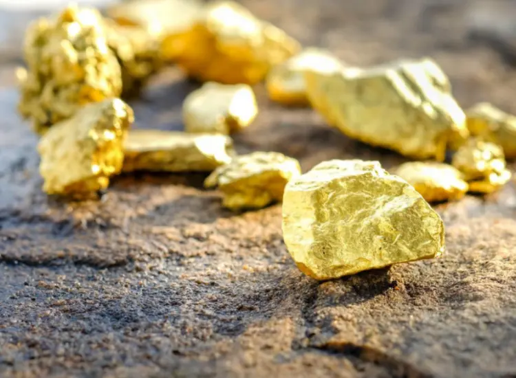 금 처리 테스트