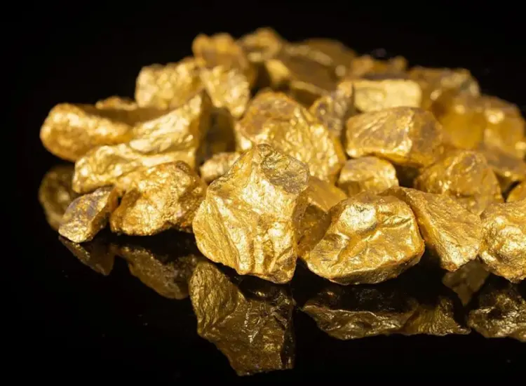 금광석의 부양 테스트