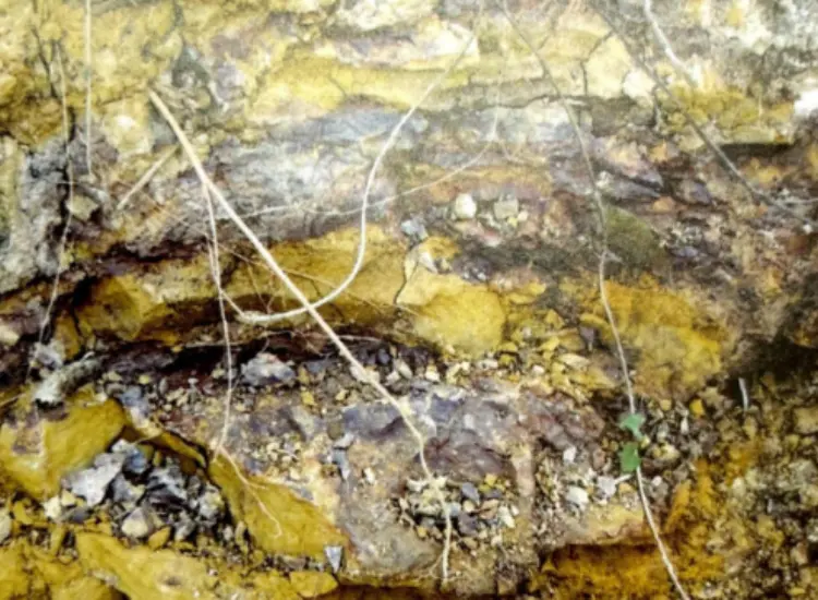 내화성 관련 광석에 대한 침출 공정 테스트