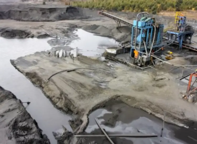 미세 입자 미네랄의 부양 테스트