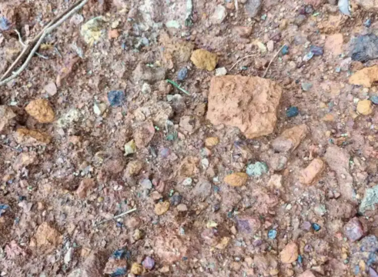 납-아연 산화물 광석의 광물 처리 테스트