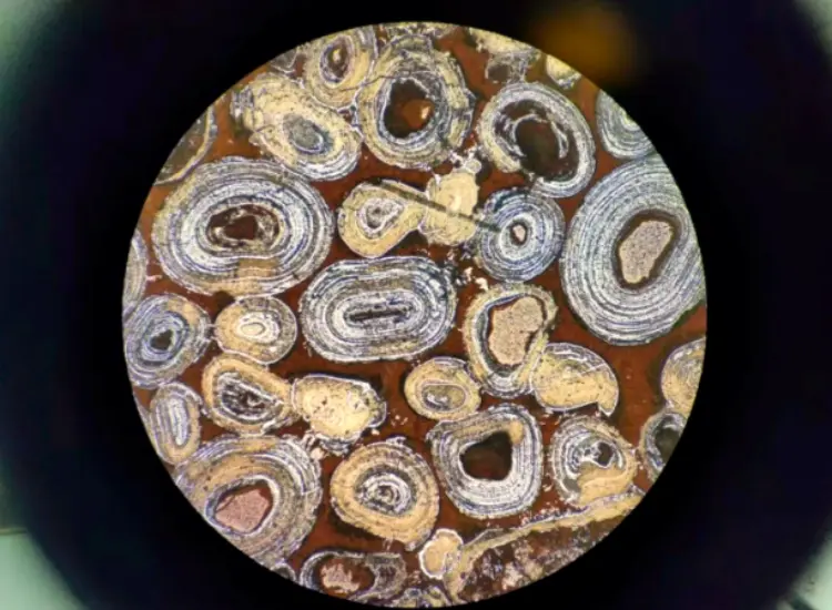 황철광의 탈인산화 및 탈실화 테스트