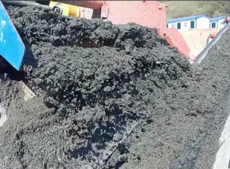 오래된 광미 연못의 미세 광미 재회수 테스트