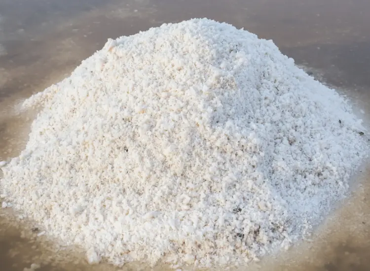 실리카 모래 정화 테스트