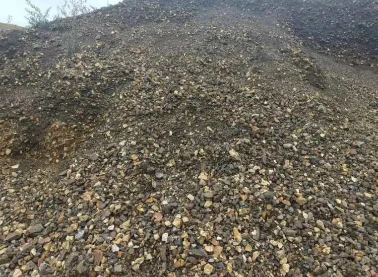 산화된 금 광미로부터의 회수 테스트